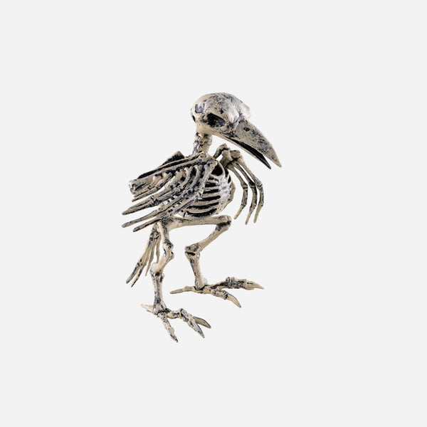 Squelette de corbeau 20 cm