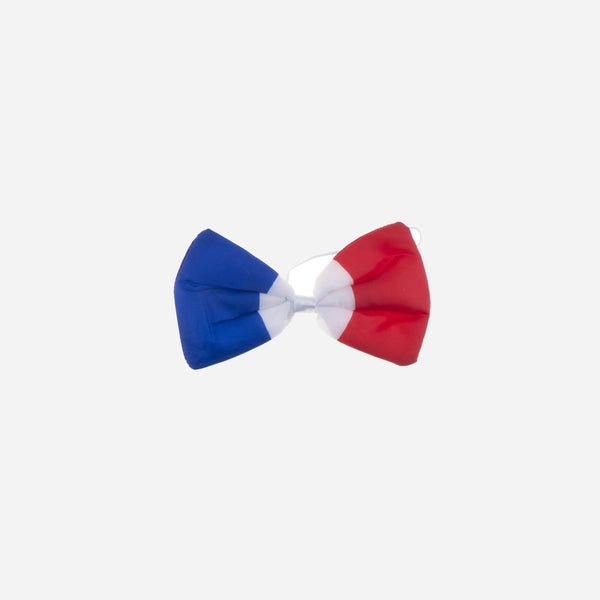 Noeud papillon france 12 × 6 cm