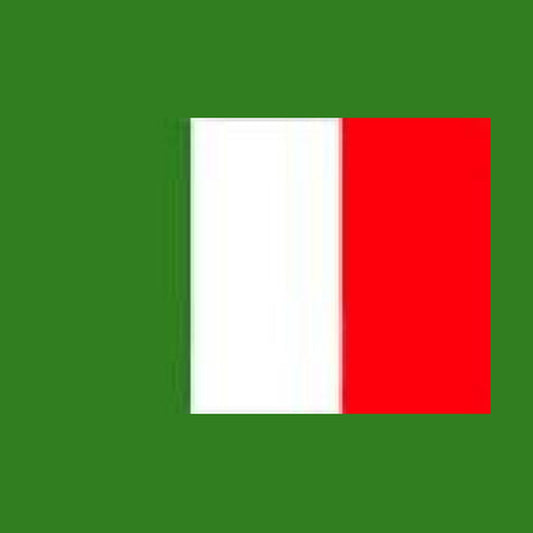 Drapeau italie 90 × 150 cm
