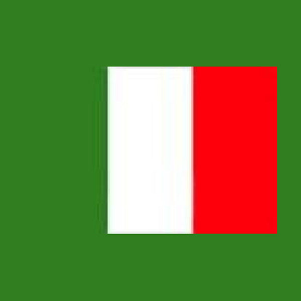 Drapeau italie 90 × 150 cm