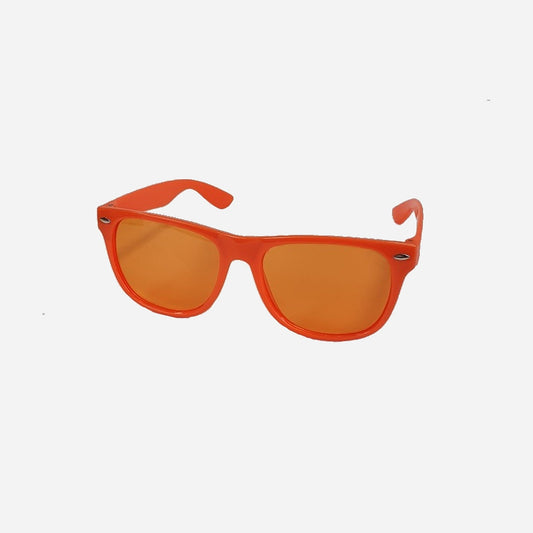 Lunettes gag style Wayfarer