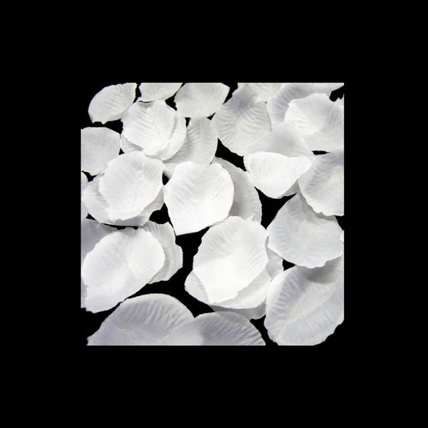 Lot avec 100 pétales de roses blanc