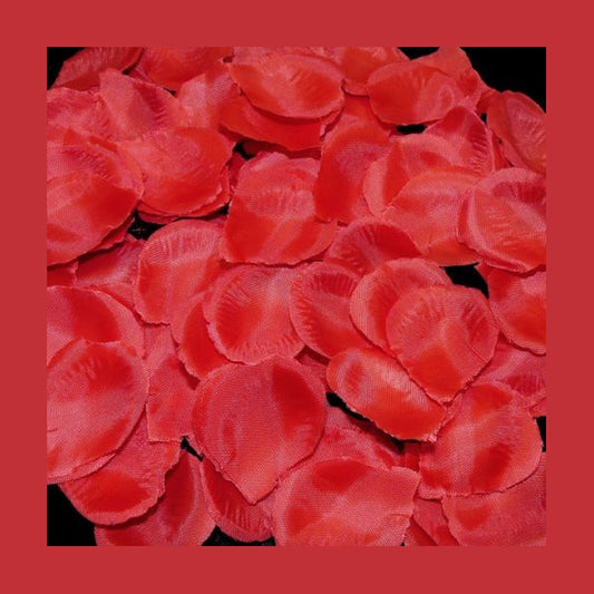 Lot avec 100 pétales de roses rouge