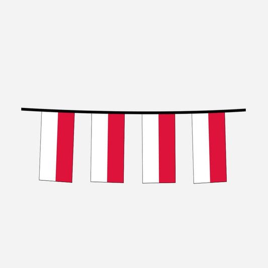 Guirlande 12 drapeaux fanions pologne 4,5 m